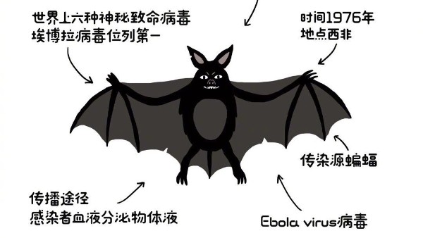 华恩动态之那些霍乱人间的病毒你知道多少？【华恩衣架】